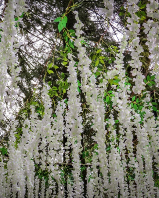 Hanging white flowers, long flower arrangements